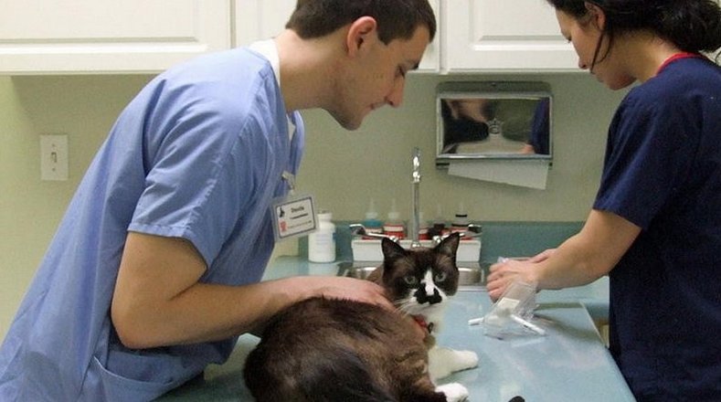 Ветеринарная клиника Фауна на Шипиловской улице