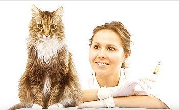 Клиника ветеринарной хирургии Лимарта в Восточном Бирюлево