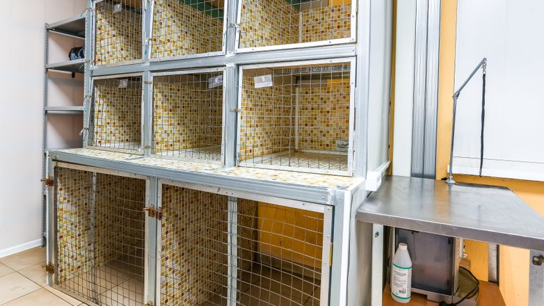 Ветеринарная клиника Доктор Пух  