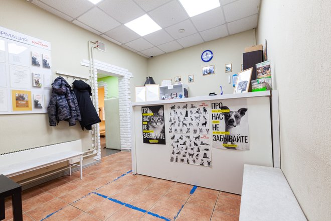 Ветеринарная клиника «Гос-Вет» на Братиславской улице 