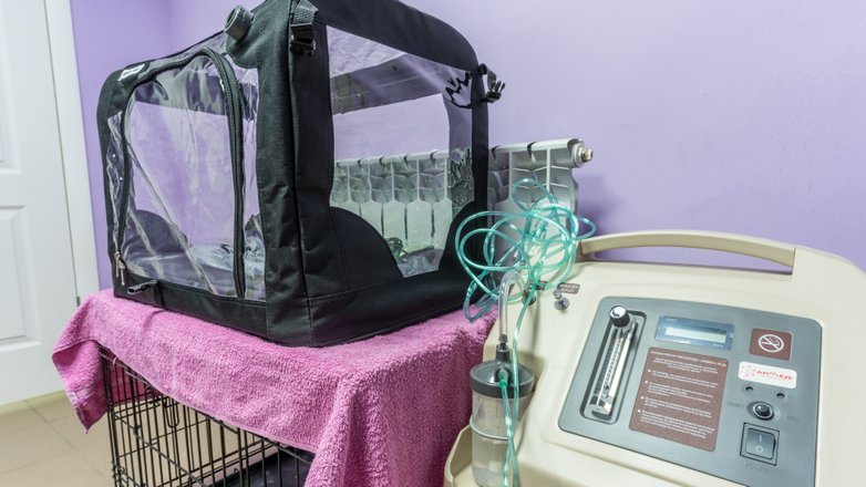 Ветеринарная клиника Лесной городок в микрорайоне Гагарина в Балашихе