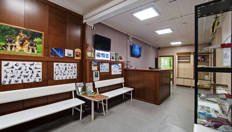 Ветеринарная клиника Кот и доГ  