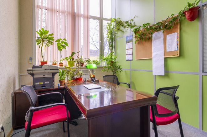 Адвокатское бюро Катапульта  