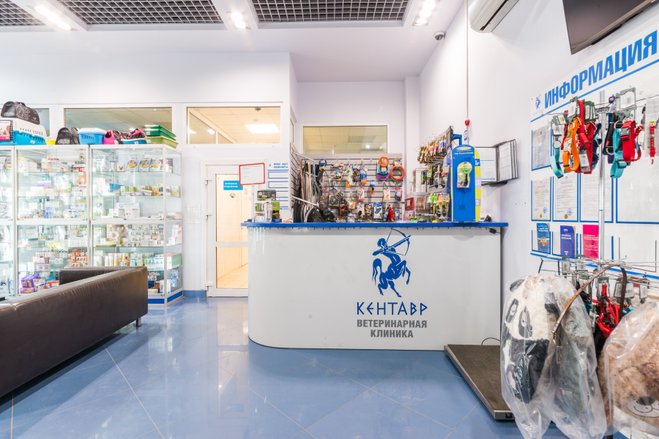 Ветеринарная клиника КЕНТАВР в Куркино 