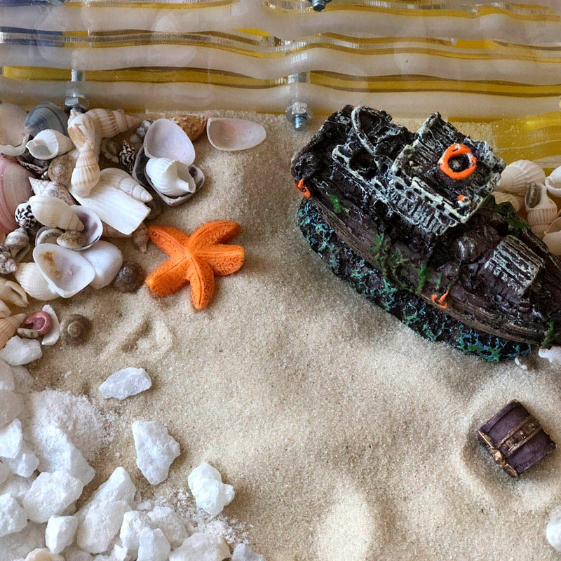 Интернет-магазин муравьев и формикариев BlackAnt в Огородном проезде