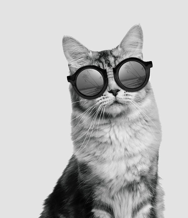 Салон оптики